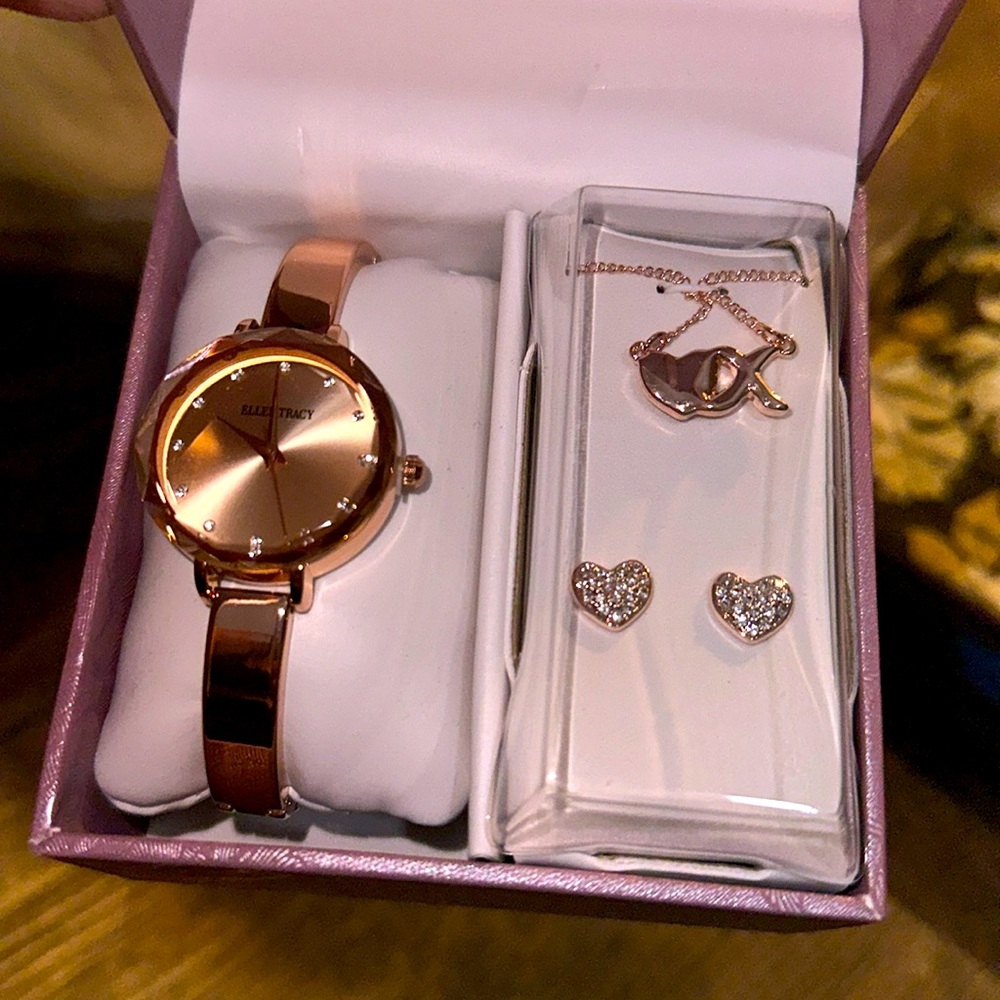 Ellen Tracy Jewelry Set